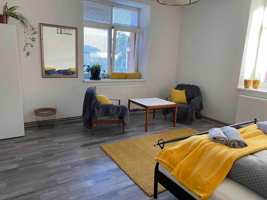 B12 - Bohdanecska 12 Apartment ปาร์ดูบิตเซ ภายนอก รูปภาพ